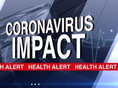 Coronavirus Disease Outbreak and the global economy