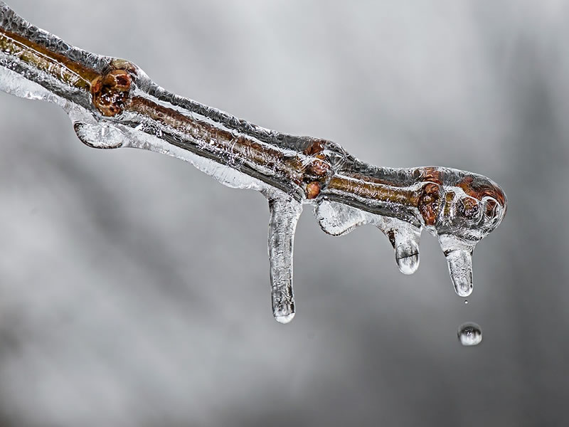 european climate law european green deal 669fde64eb099