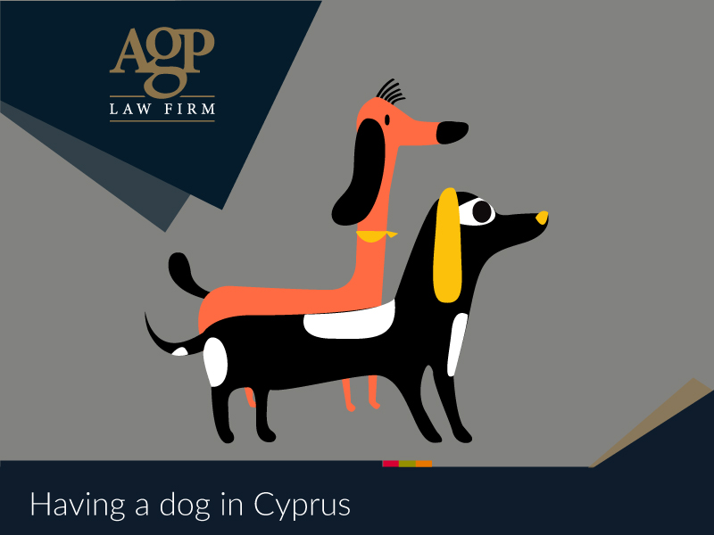 having a dog in cyprus 669a8d8d74d94