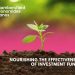 nourishing the effectiveness of investment funds 6748ce459d7c3