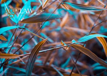 micar unveiled a game changing regulation for crypto in the eu 67e919316575a