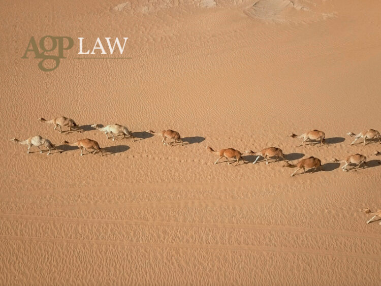 Cyprus Digital Nomad 800x600 1