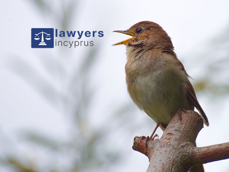 Launch of the new "Lawyers in Cyprus"