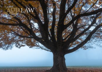 Ta kipriaka dikastiria 800x600 1