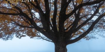 Cyprus Courts Ruled: Tenants Commit a Criminal Offence by Refusing to Vacate Rental Premises 3 Ta kipriaka dikastiria 800x600 1