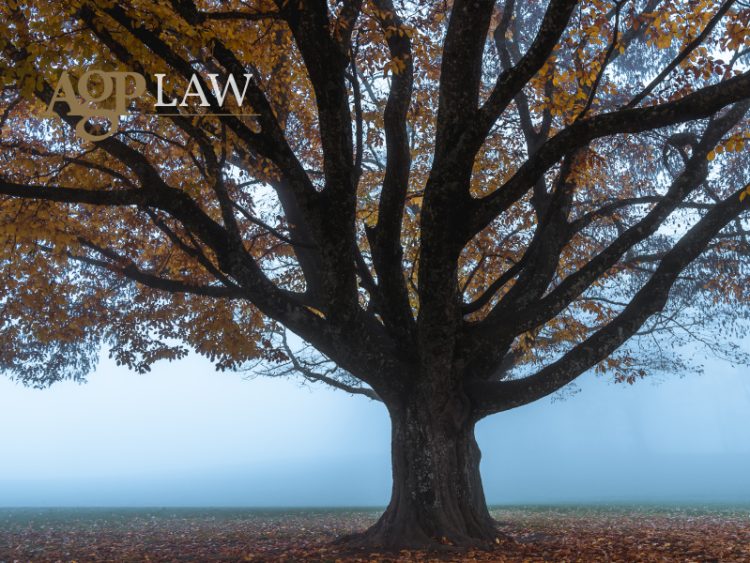 Cyprus Courts Ruled: Tenants Commit a Criminal Offence by Refusing to Vacate Rental Premises 1 Ta kipriaka dikastiria 800x600 1