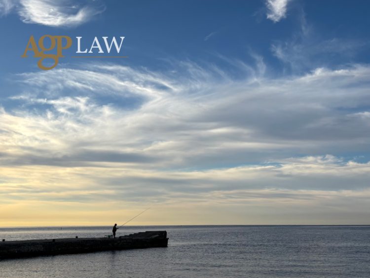 The Fallout of Cyprus’ Citizenship by Investment Program 1 Cyprus’ Citizenship by Investment Program