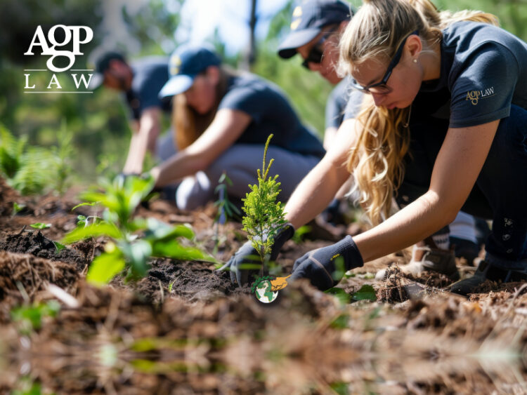 ΑΝΑΚΟΙΝΩΣΗ – ΔΕΝΤΡΟΦΥΤΕΥΣΗ ΑΓΙΟΥ ΘΕΡΑΠΟΝΤΑ 1 ΔΕΝΤΡΟΦΥΤΕΥΣΗ ΑΓΙΟΥ ΘΕΡΑΠΟΝΤΑ