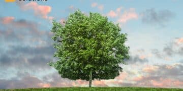 Green Claims Under Scrutiny: 3 Green Claims