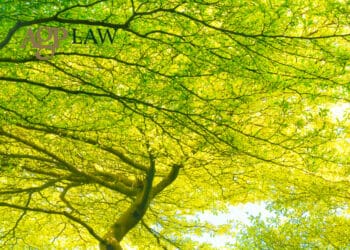 Jautiva ruling -shareholder privacy