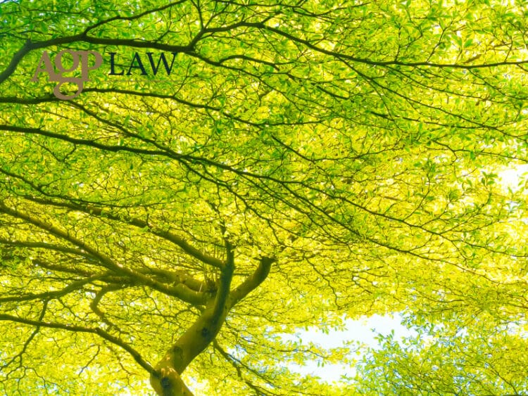 What the Jautiva ruling means for shareholder privacy 1 Jautiva ruling -shareholder privacy