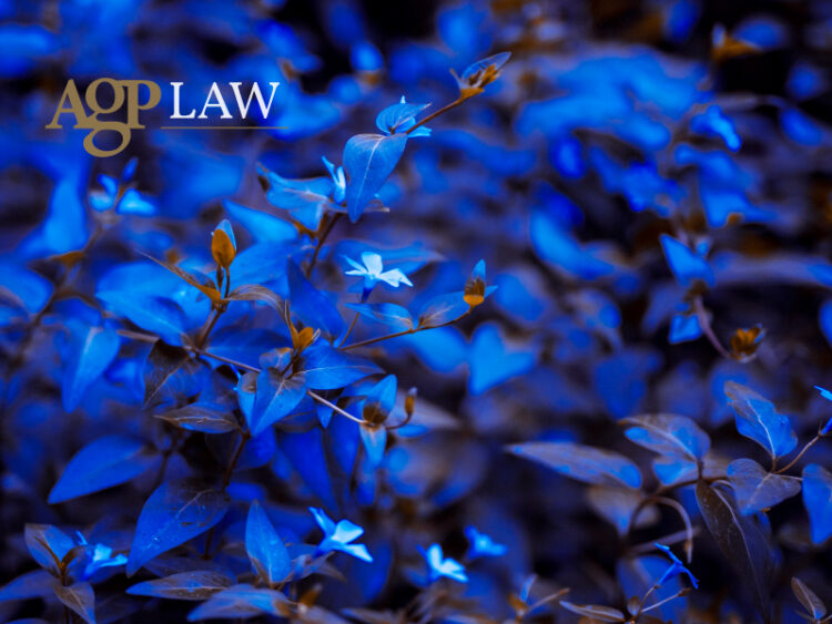 What the ESMA prospectus changes mean for issuers 1 ESMA prospectus