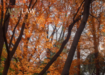 Booking and Etraveli ruling